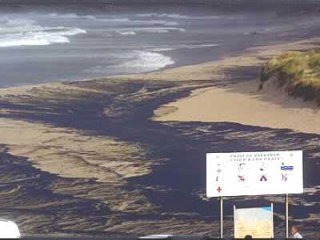 PRESTIGE ARENA 01  ECOLOGIA